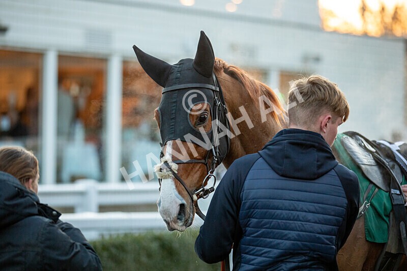 221124-Race 7-Kids Say Lastgojoe-8754 - Race 7