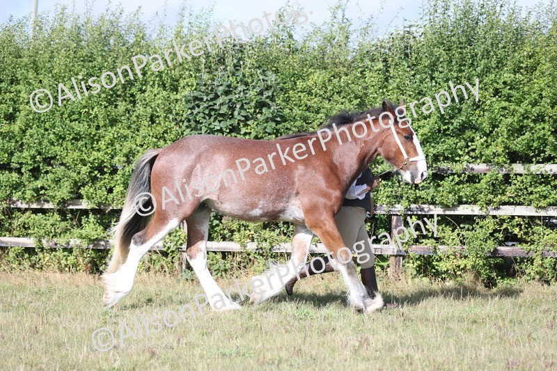 20250831-1355 - Class 21 - Inhand Open