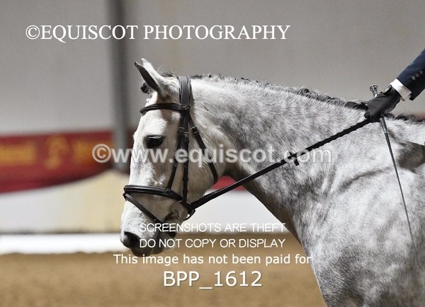 BPP_1612 - PC GRASSROOTS DRESSAGE