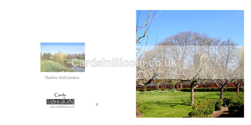 09 Winter trees, Thurlow Hall Gardens - GARDENS