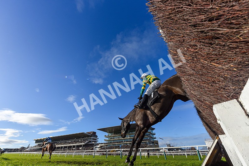 141224-Race 3-Trapista-9376 - Race 3