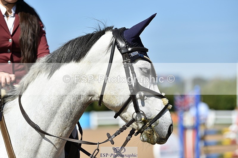 230903A-113530-04218 - Cls 18 Pony Brit Novice & 80cm Open