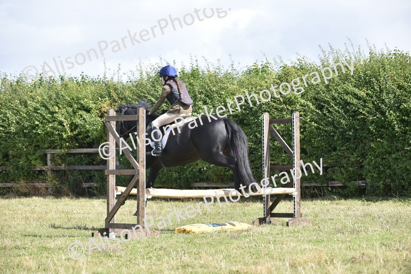 20250831-3980 - Class 12 - Working Hunter Pony 14.2hh and Under