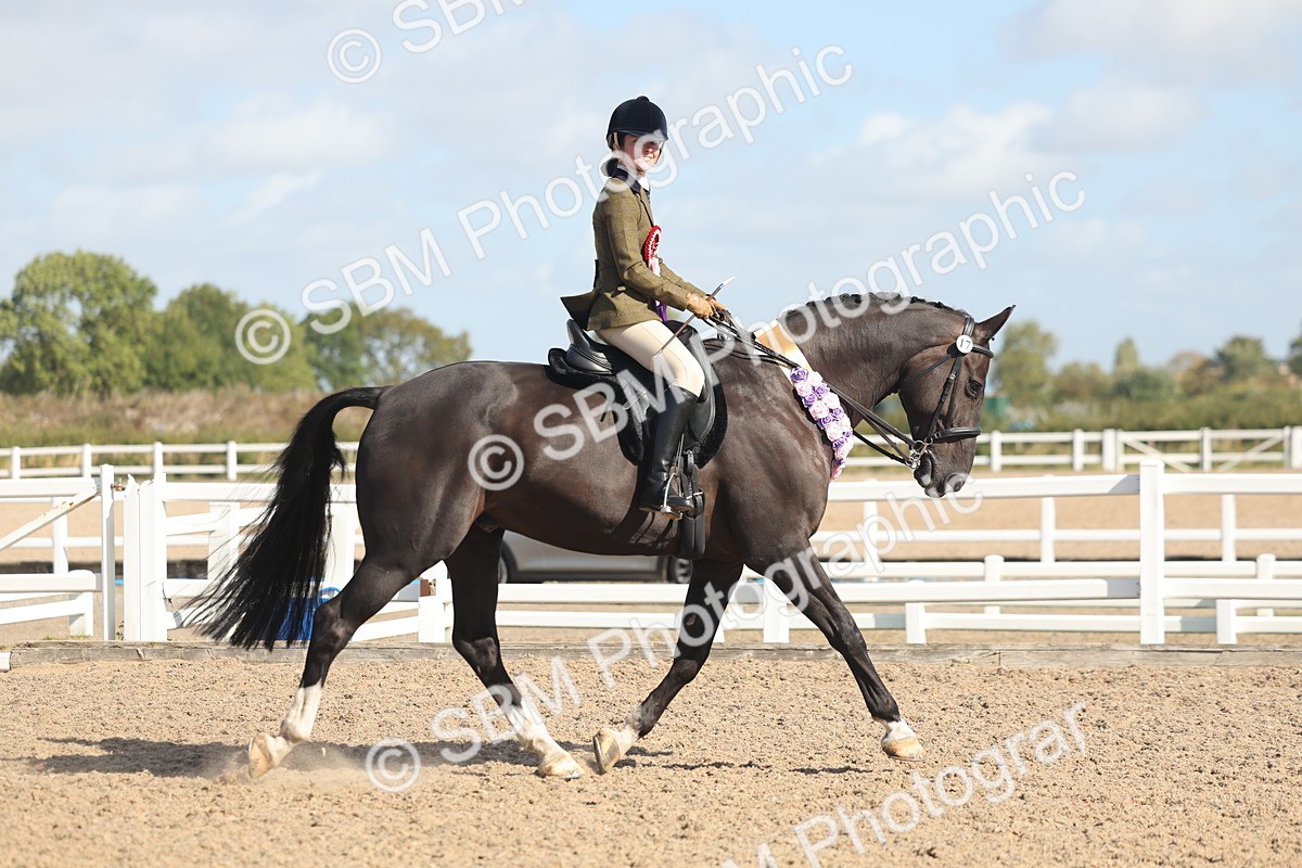 SBM_22703 - Class 805 - Ridden Veteran Horse