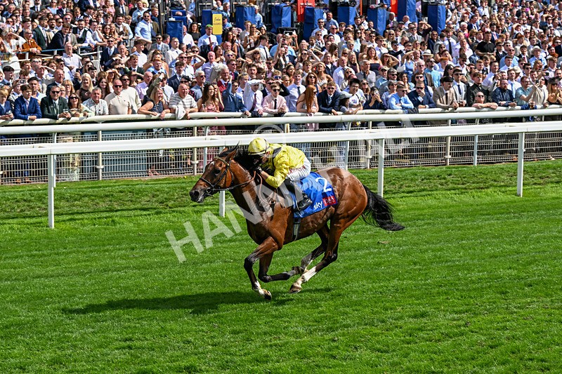 220826-Race 2-Infraad-0310 - Race 2 14.25pm Sky Bet Melrose Handicap