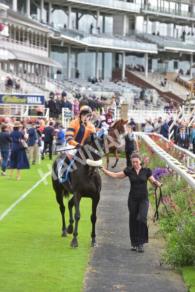 yr24092021r1-100 - Race 1 1.10pm Ernest Cooper Macmillan Ride of Their Lives