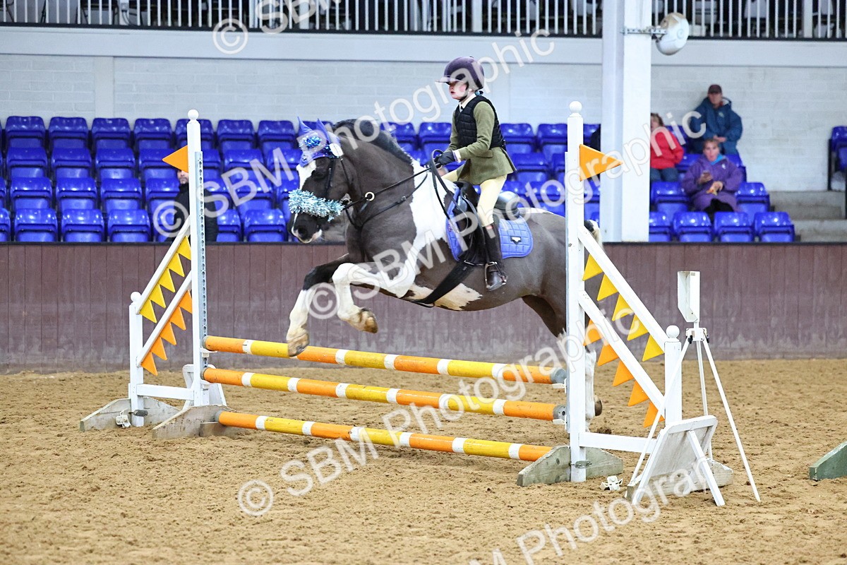 SBM_001252 - Class 3 - Christmas Tree Stakes - 60cm