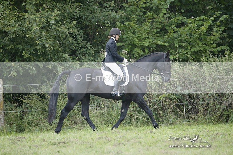 BVRC 120921 368 - Bourne Valley Riding Club UA Dressage & Show Jumping 12/09/21