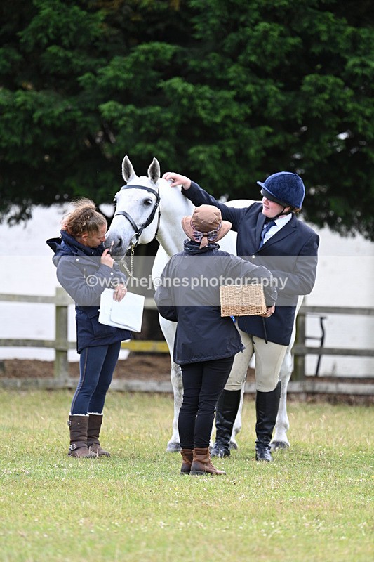 WJ7_7163 - Class 5a Most Handsome Gelding in Hand