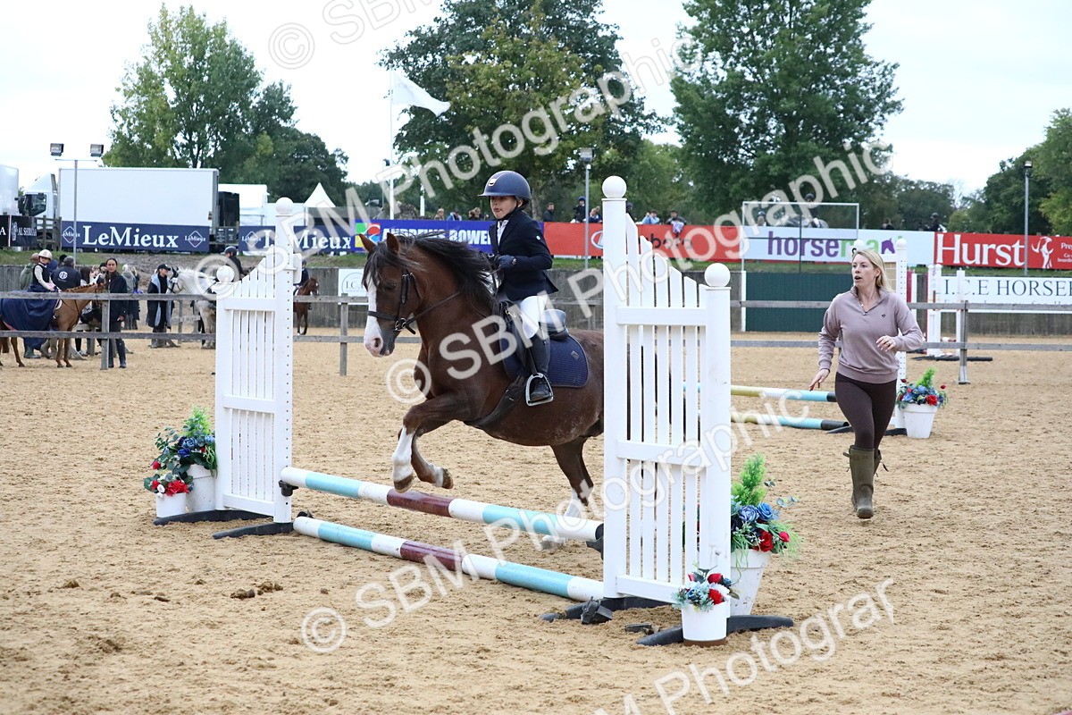 SBM_68337 - J3b - Mini Tour Junior Pony 40cm Championship