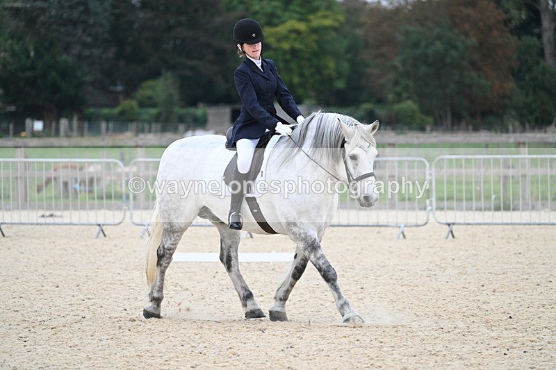 WJ7_2304 - Class 2 & Champs