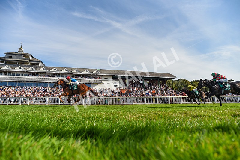 140826-Race 1-Final Objective-6546 - Race 1 17.33pm Ray And Eileen Mclean Memorial EBF Maiden Stakes