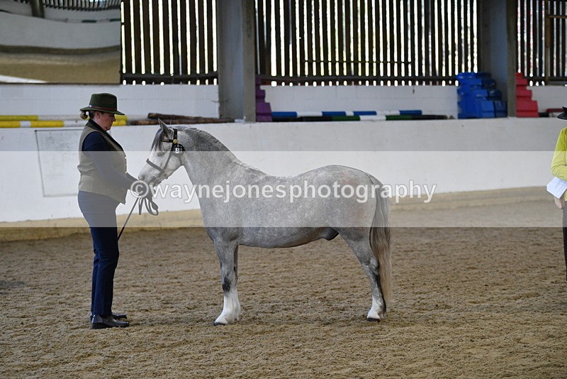 WJ5_3956 - Class 2 Best Condition In hand