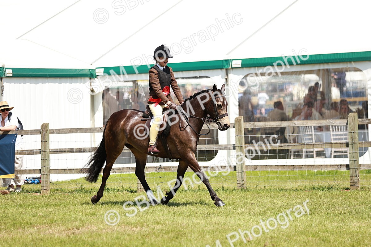 SBM_15749 - Class 108-109 - BSPS LIHS Open Gradle & Nursery Stakes