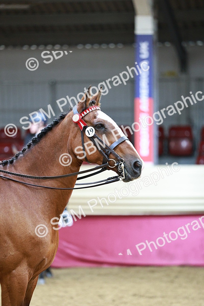 SBM_03522 - Class 6A Area Ridden Pre-Vet