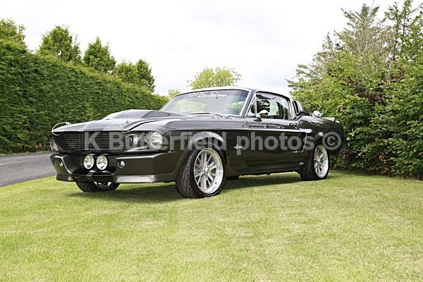 SHELBY GT500 - Portraits