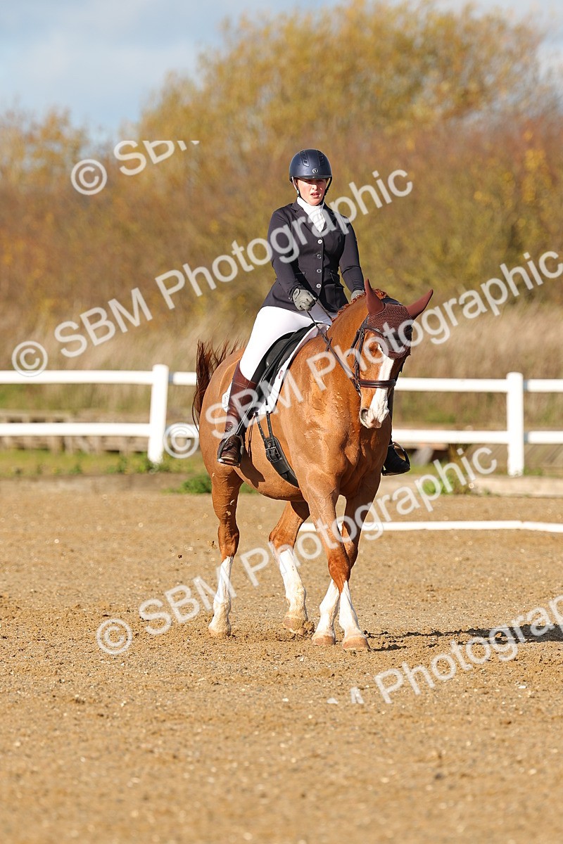 SBM_000568 - Novice 4