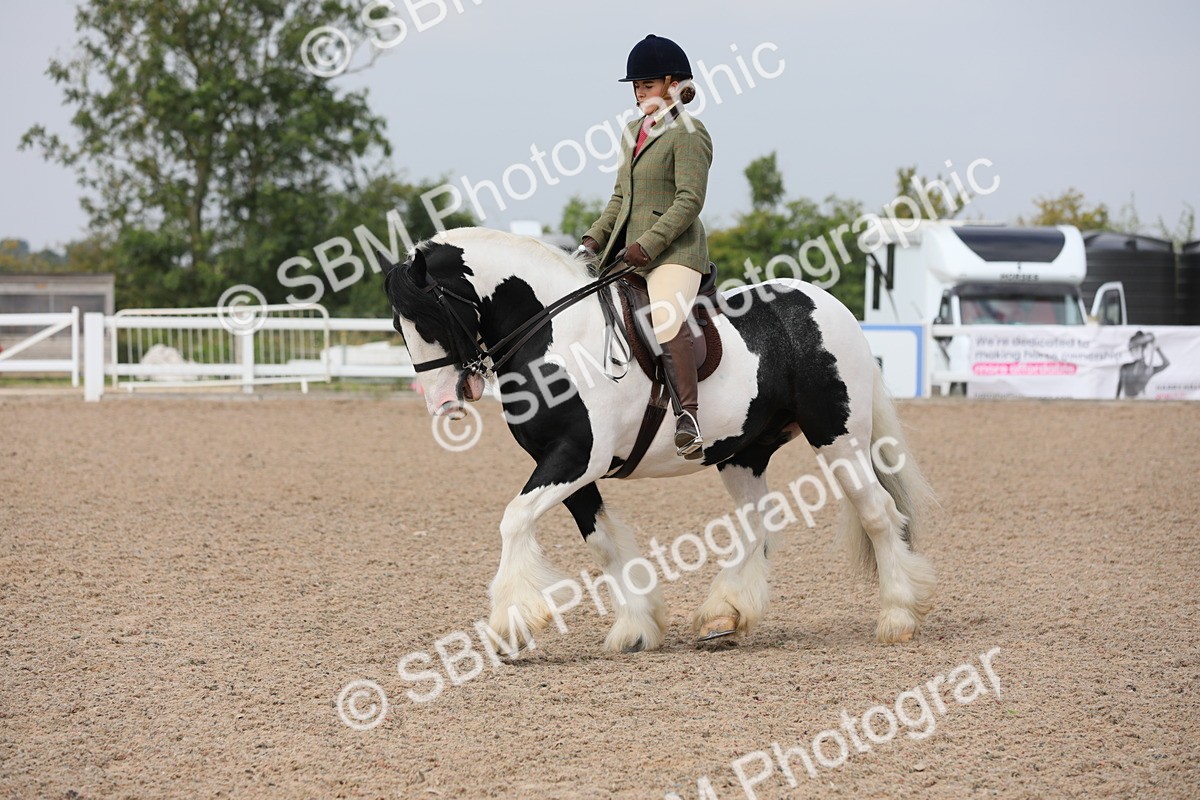 SBM_12699 - Class 307 Ridden Coloured Pony
