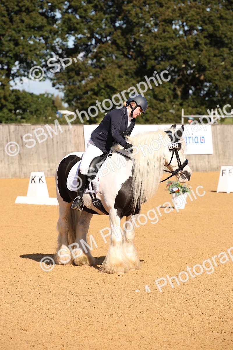 SBM_01949 - D2 Small Tour Championship Intro C
