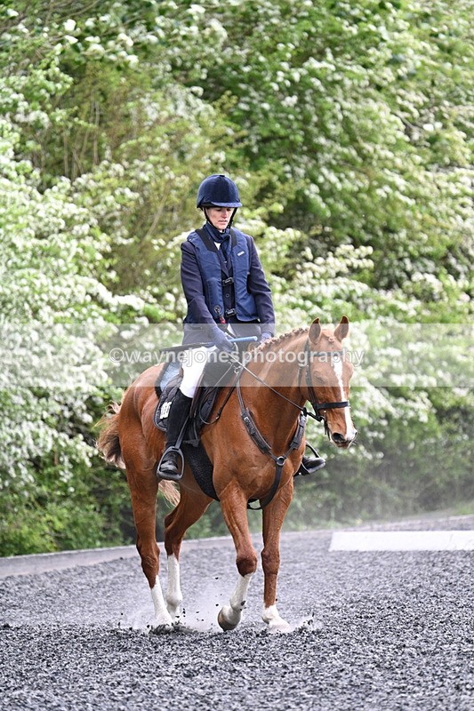 WJ7_0775 - Time 14:01 to 14:12