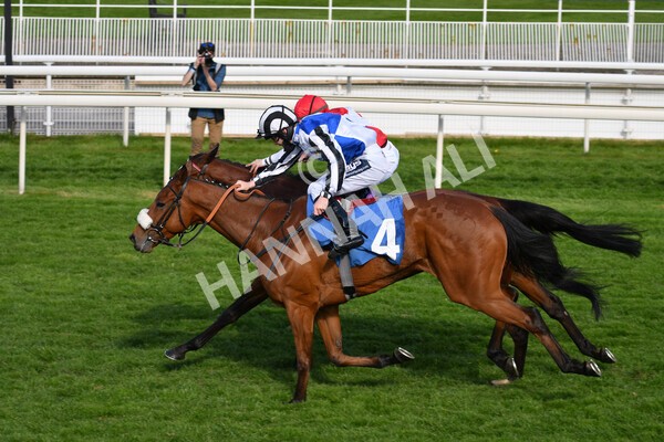 yr13052021r7-29 - Race 7 4.50pm Autohorn Stakes