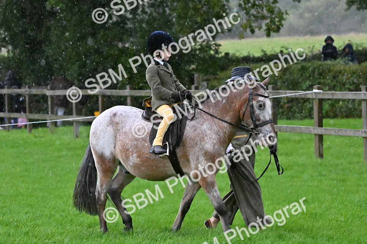 SBM_36438 - S18 - Novice & Newcomer Lead Rein Pony