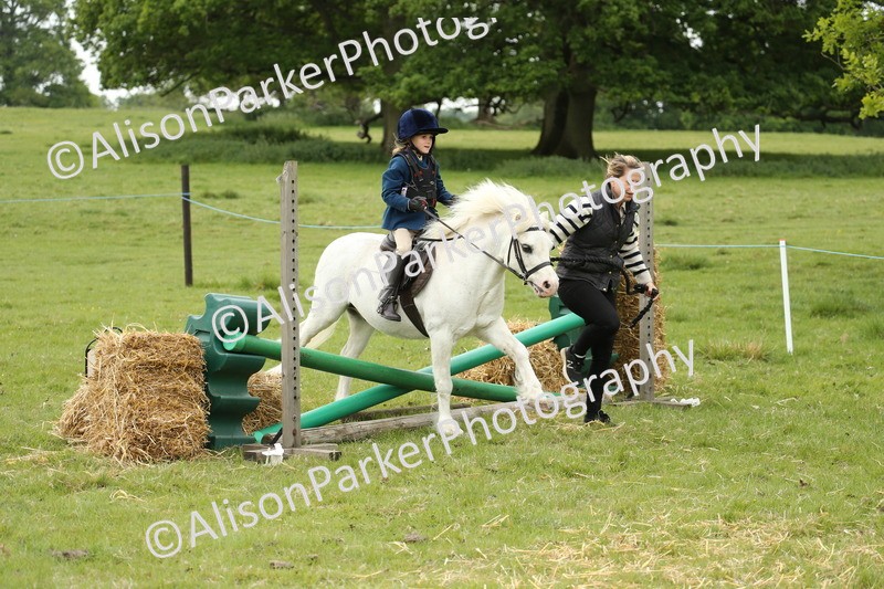 20250517-0604 - Class 20 - Beginners Working Hunter