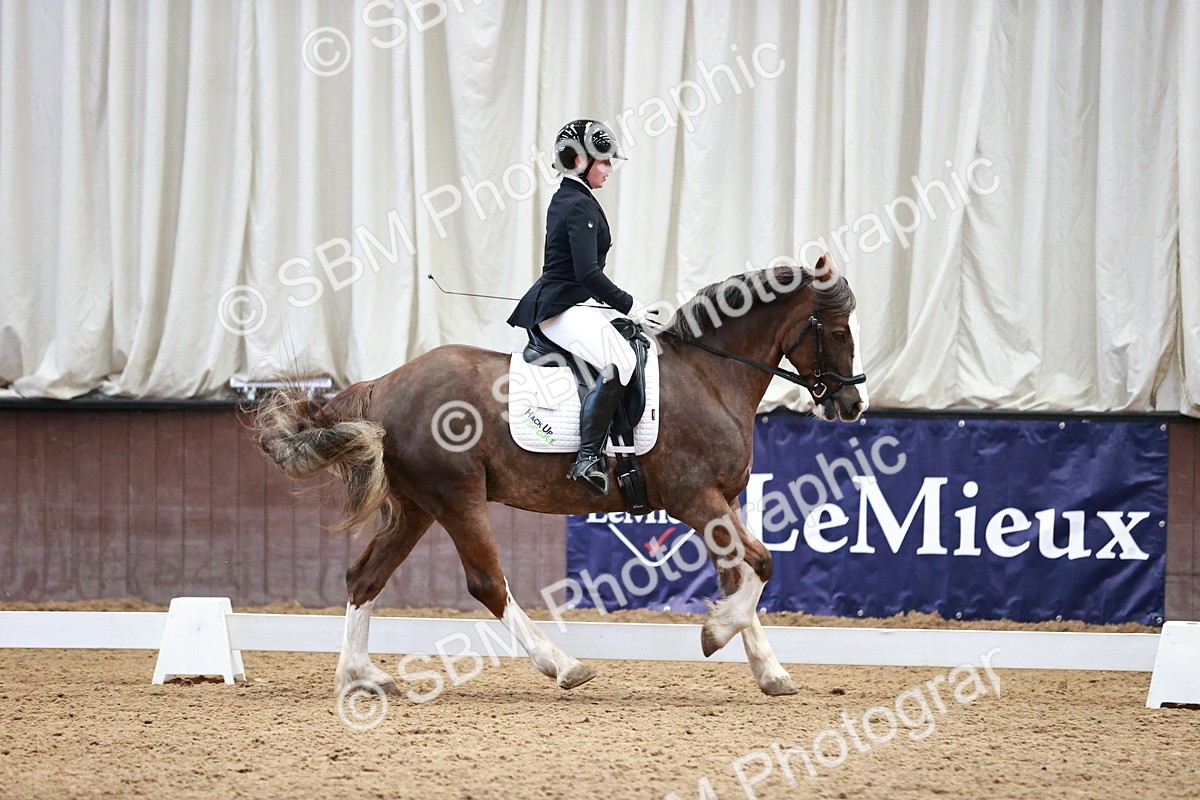 SBM_000147 - Class 3, 4, 8, 10 Intro 3 Prelim 3 Novice 2