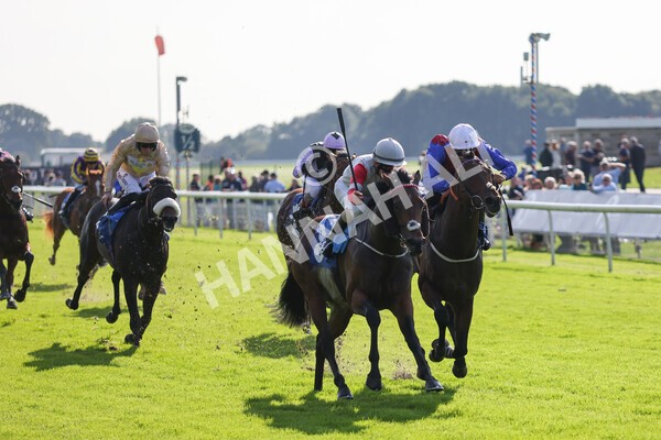 yr08102021r1-17 - Race 1 2.05pm Parsonage Hotel and Cloisters Spa Nursery Handicap