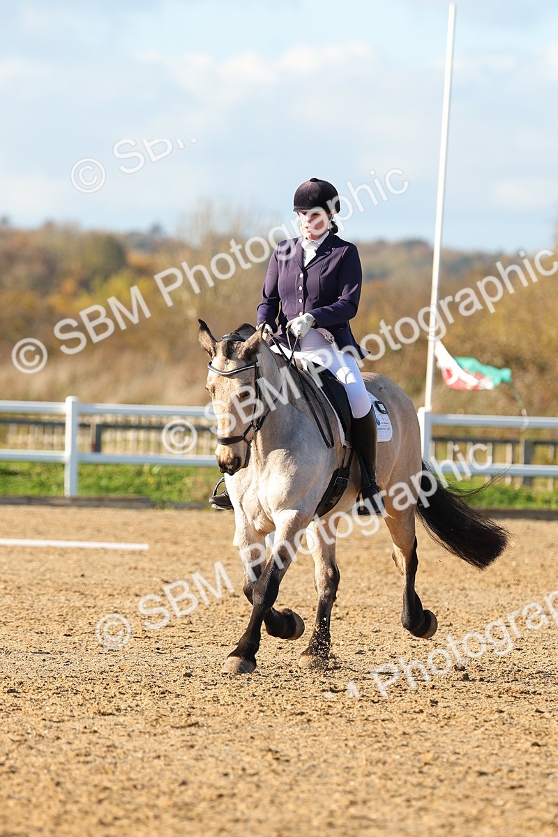 SBM_001545 - Medium 3