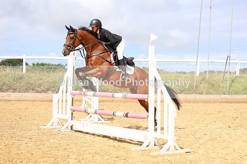 3E7A9839 - Class 9: Senior British Novice/90cm open