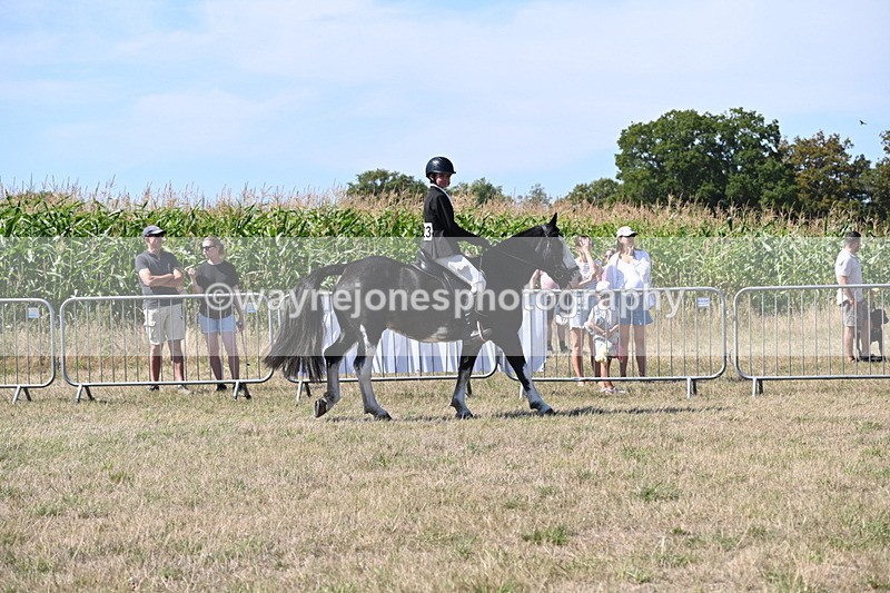 WJ6_8216 - Class 37a Best Loan Pony Ridden