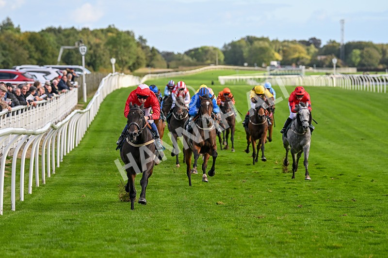 021024-Race 6-Redrosezorro-9633 - Race 6