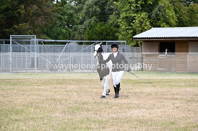 WJ6_4241 - Class 10 Coloured In-hand