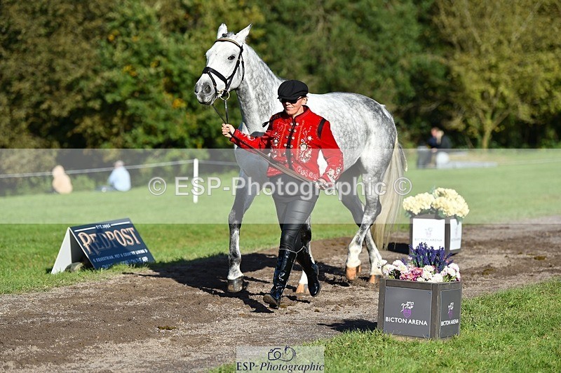 231022-105812-23630 - 411-MIDNIGHT.MOON.DANCER-Jacqueline.Cole-TrotUp+SJ