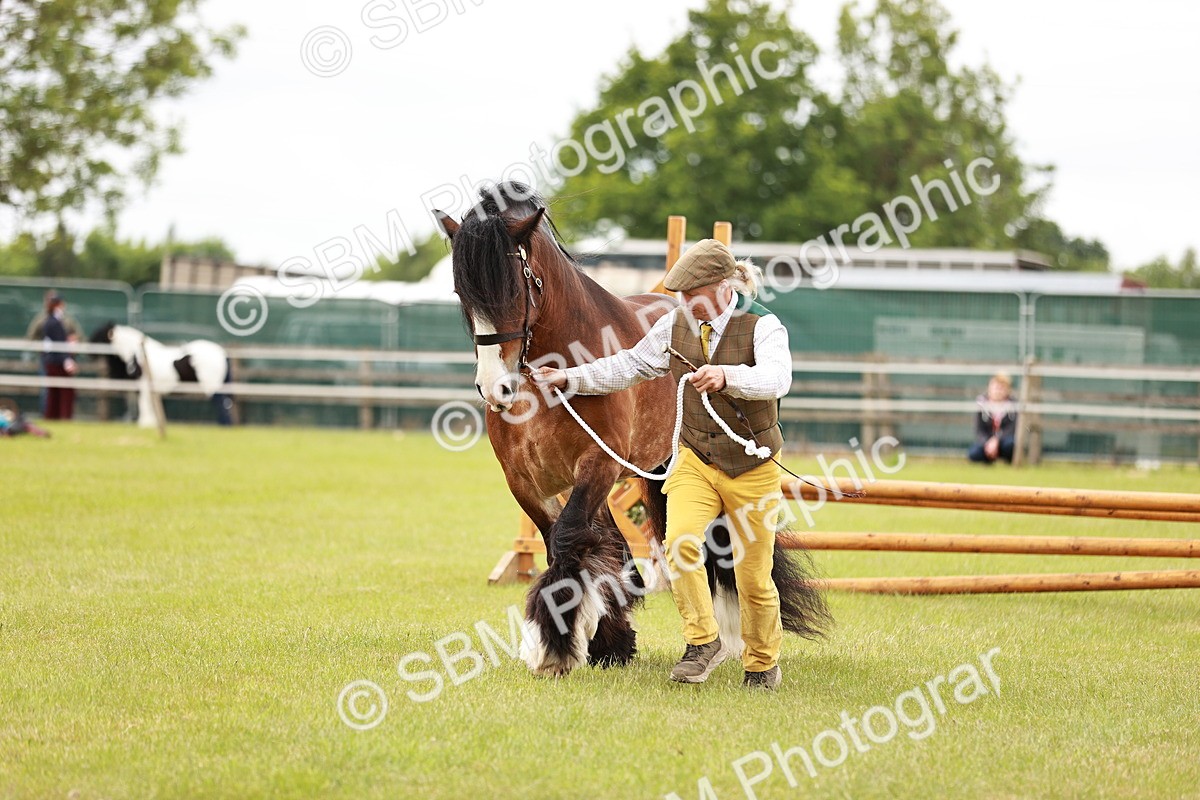 SBM_06045 - Class 39-41 TGCA In Hand and Ridden