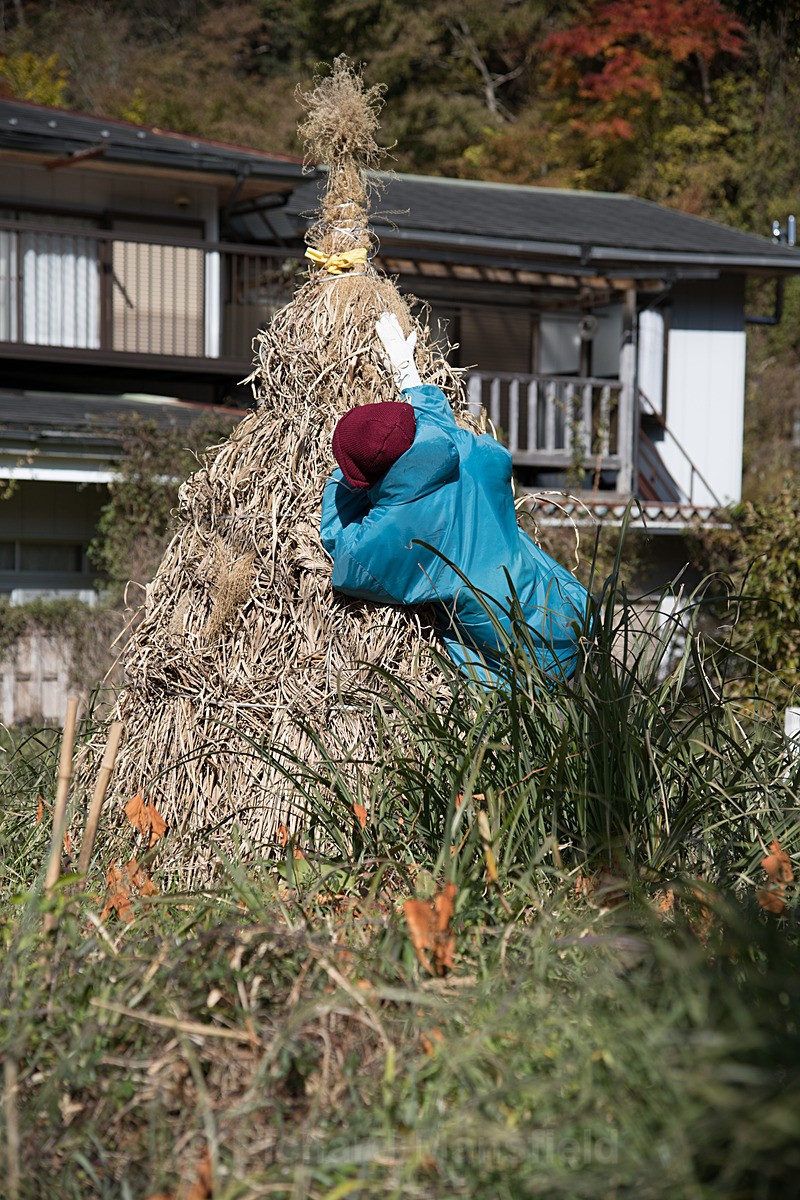  - Japan