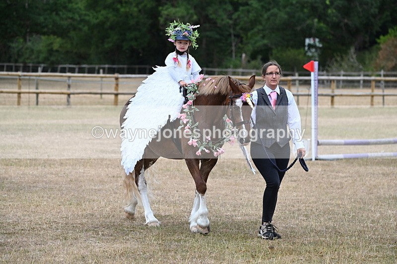 WJ6_8597 - Class 11 Fancy Dress
