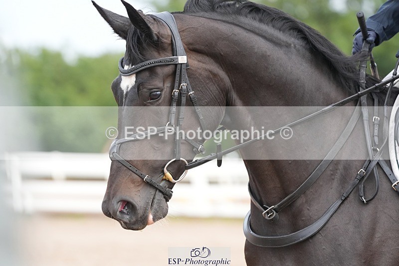 250731-102141-01357 - Cls 08  85cm Nat Am Qual