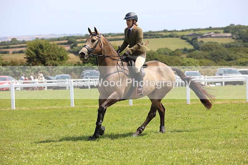 JPP_3129 - Class 22: Working Hunter 70cm