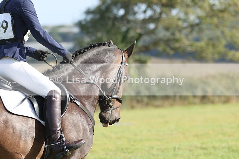 JPP_7987 - Class 2A: Trekenning Open: Dressage