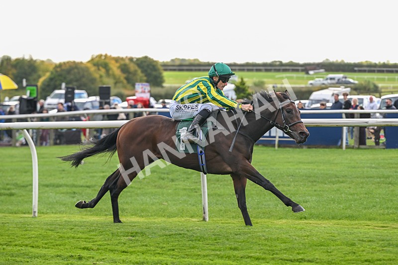 171026-Race 2-Inkberrow-4946 - Race 2 1.35pm Every Race Live On Racing TV Novice Stakes