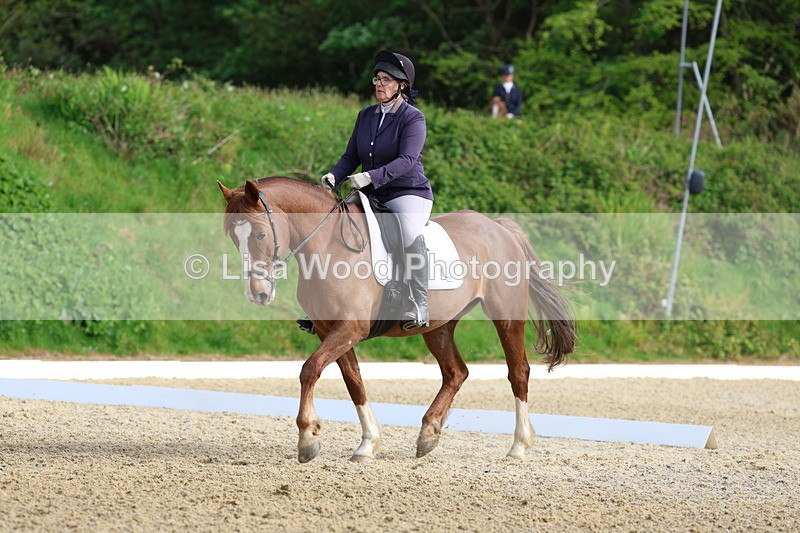 3E7A3341 - Class 2: INTRO B- INTRO 3 2024