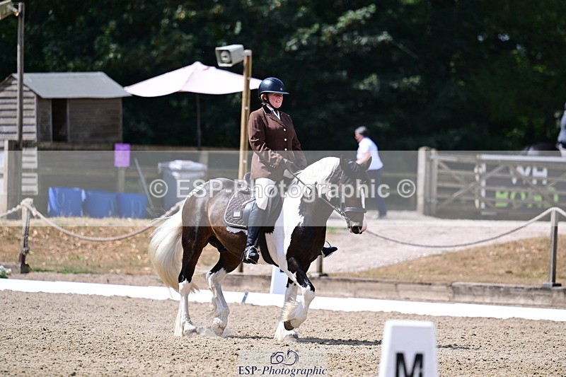 260802A-115002-06447 - Novice Bronze break - end