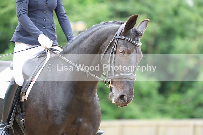 3E7A0225 - Class 4: Prelim 1 2024 Section B