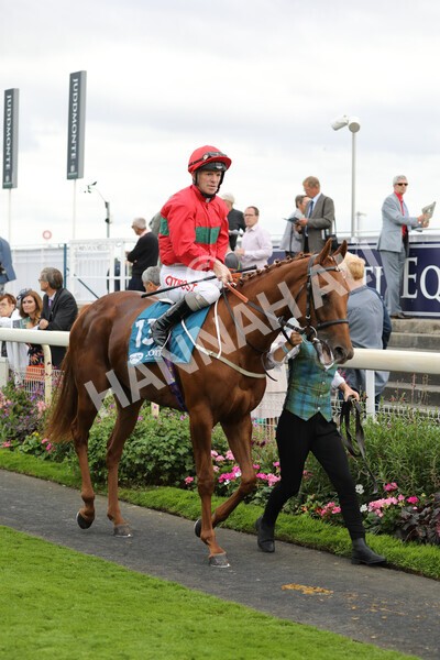 yr17082022r7-15 - Race 7 5.20pm Sky Bet Nursery Handicap