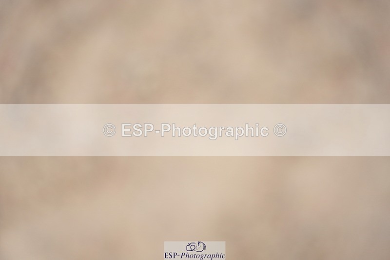 230924A-142524-06440 - 90 SJ 14.00 to End