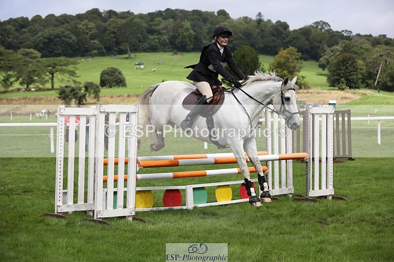 230805-123231-02133 - SJ 11.55 to 13