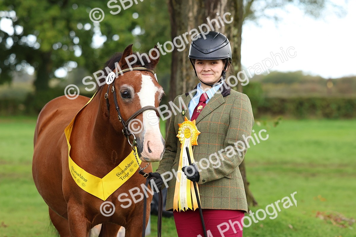 SBM_39371 - S24 - Young Veteran In Hand
