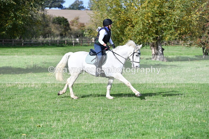 WJ5_7973 - Time 10:31 to 12:01